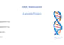 design genetics and molecular biology powerpoint presentation